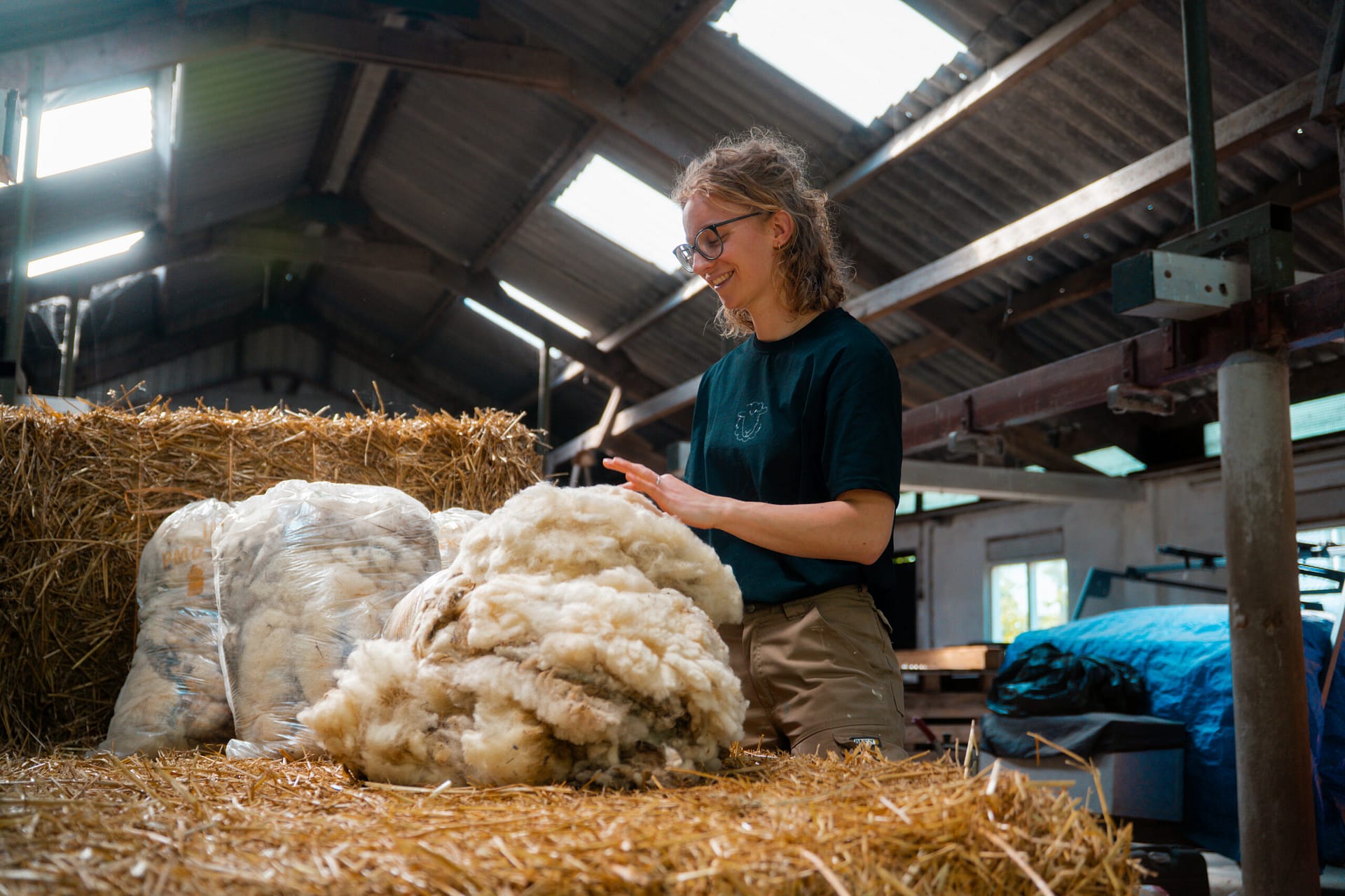 Ruwe schapenwol van onze eigen schapen die verwerkt wordt door schapenboerin Evelijn in Nederland.